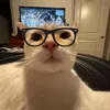 laubosieucay_hhh