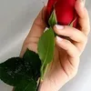 user150840053942460
