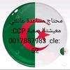 wahabwahab8198