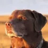 pogi.ko.sobra7