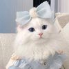 cute.kitty930