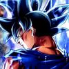 son_zakfox