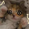 nu.iuu0