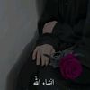 zareen6853