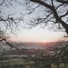 silentdawn01
