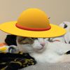strawhatkitty