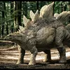 stegosaurus2557