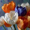 rene.fleurrot