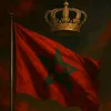 walid.nouari84