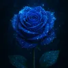 coco.sapphireee