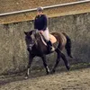 lola443185