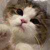 playlistmood8