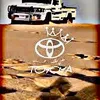 alisaleh5062