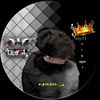 user6549koosy