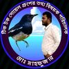 mdmafujar881