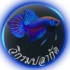 wikrom1998