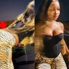 fulaninicki