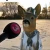 mydeerarthur7