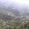 amd.alshargi