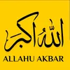 armintahirovic7