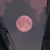 maya_mni17