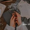 user33605369132903