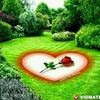 user3465160149199