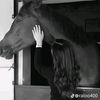 sarafouad537