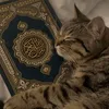 tv.quran515