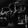 gorila.fit6