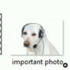 bestclipsnips88