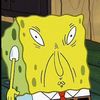 Everyday Spongebob