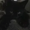 itsnauhaa