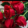 user4712345073776