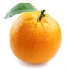 orange.otan