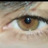 haso_228