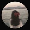 user604330804