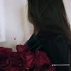 nooralzanati5