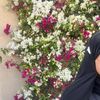 yassim2953
