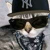 vwxhattz3