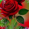 user73710691617372