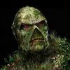 swampthing4484