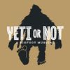 yetiornotmusical