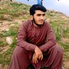 umar.wahid7801