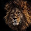 Asadullah — “Lion of Allah”
