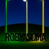 roby.asoma8
