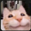 mariapp932