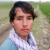 pk.omarzi