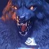 vulgoo.clt