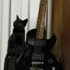 ari_a766